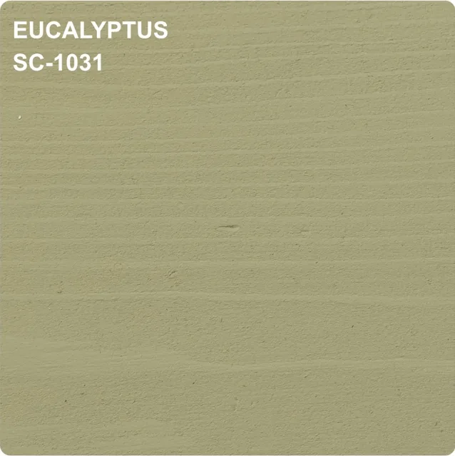 Eucalyptus SC-1031 stain color sample